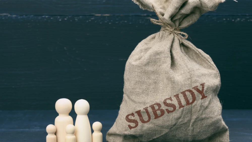 Banks and Home Loan Subsidies