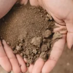 uses of silt soil in construction