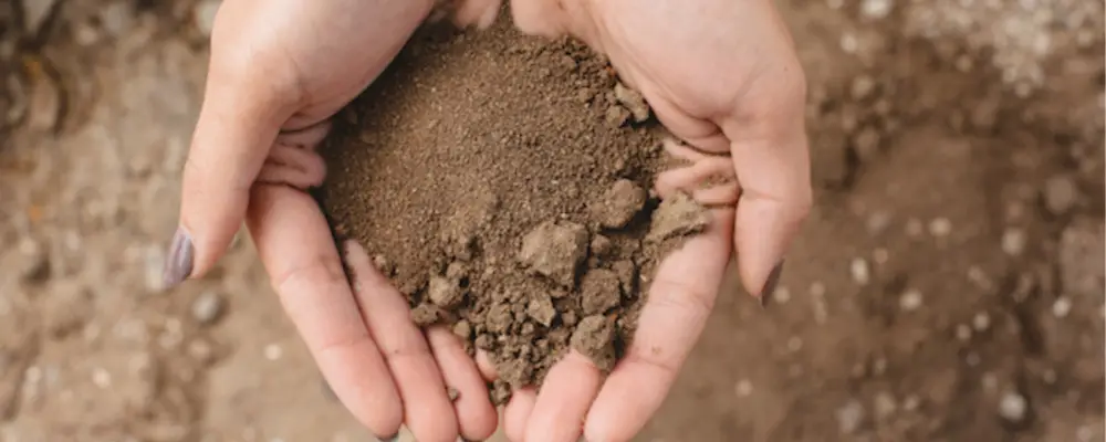 uses of silt soil in construction